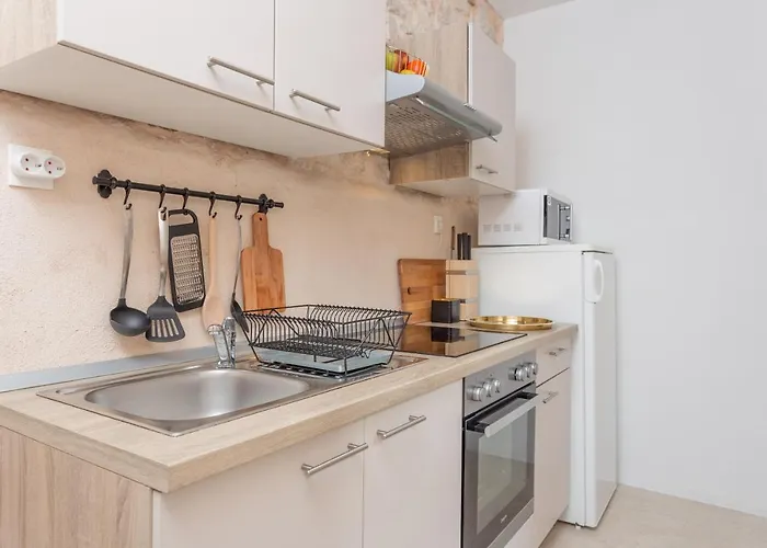 Lola - Zf Hvar フヴァル