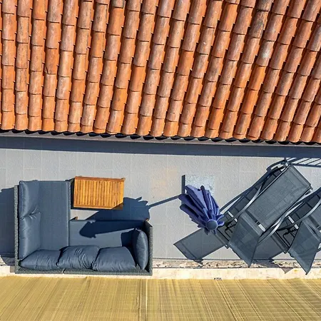 Lola - Zf Hvar Χβαρ