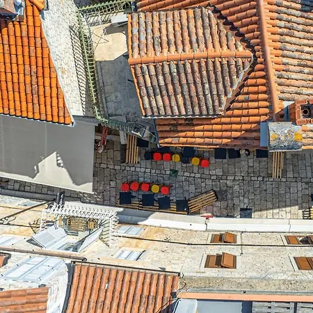 Lola - Zf Hvar Hvar Town